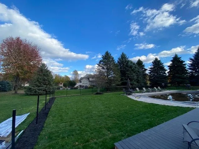 Reliable lawn care service in Minneapolis, MN - iMowediT