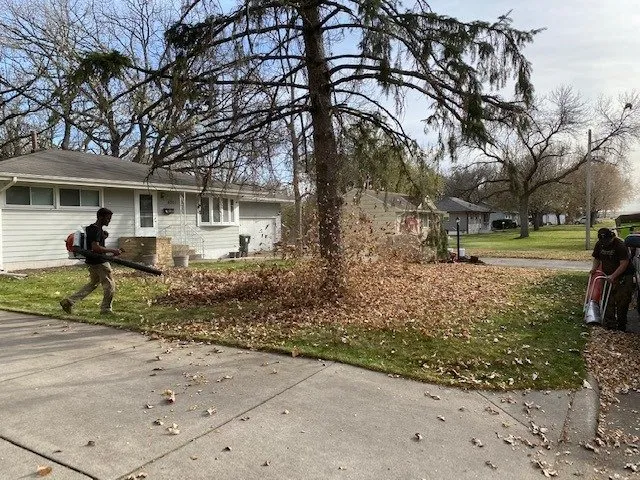 Top-rated yard cleanup service in Minneapolis, MN by iMowediT