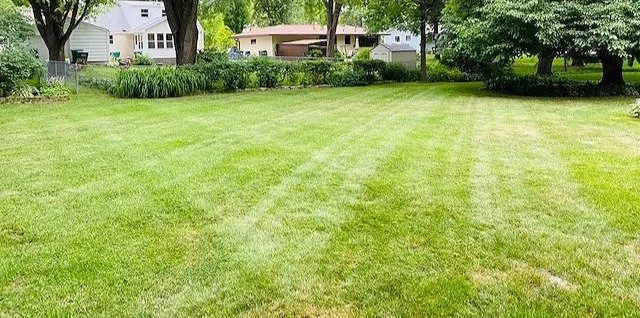 Local yard cleanup service for outdoor upgrades across Minneapolis, MN - iMowediT