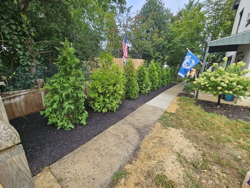 Top-rated yard cleanup service experts serving Norristown, PA - Impact Hardscape & Landscape