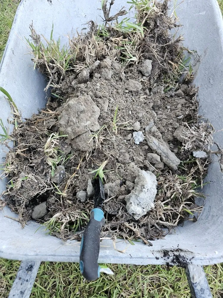 Trusted yard cleanup service with custom design across The Colony, TX - Impact Landscapes