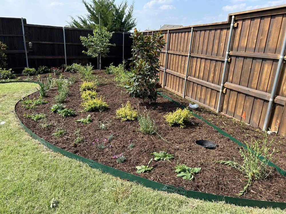 Local landscape design for residential properties across The Colony, TX - Impact Landscapes