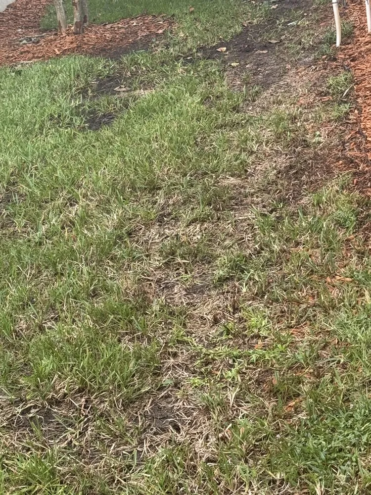 Local outdoor landscaping experts serving Jupiter, FL - Impact Landscaping & Irrigation