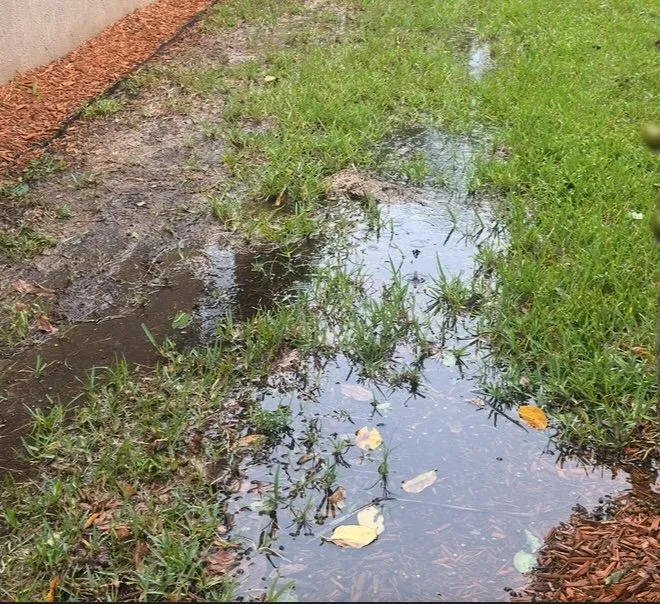 Affordable yard maintenance experts serving Jupiter, FL - Impact Landscaping & Irrigation