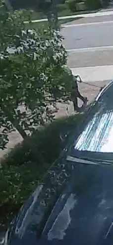 Top-rated landscape installation in Jupiter, FL by Impact Landscaping & Irrigation