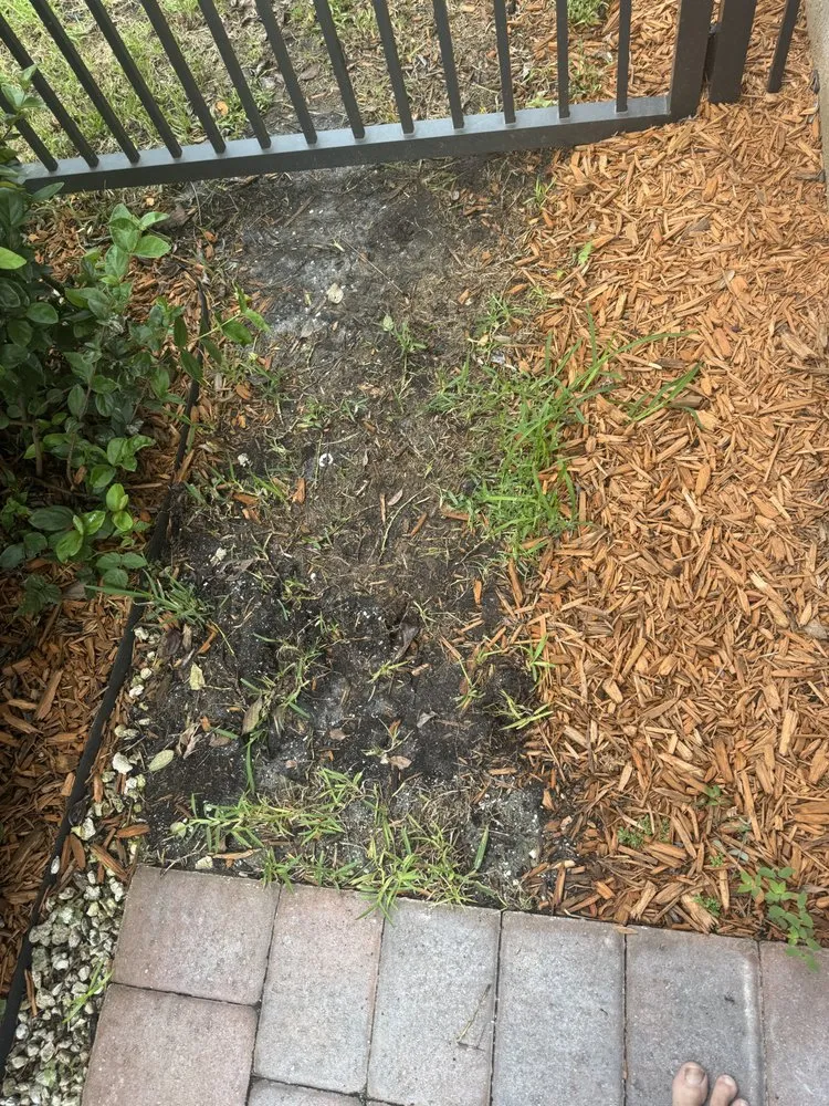 Trusted landscape design in Jupiter, FL - Impact Landscaping & Irrigation