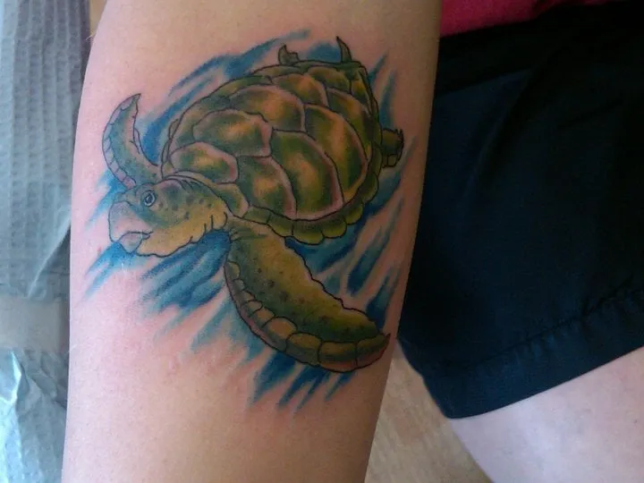 Trusted landscape installation in Jupiter, FL by Impact Landscaping & Irrigation