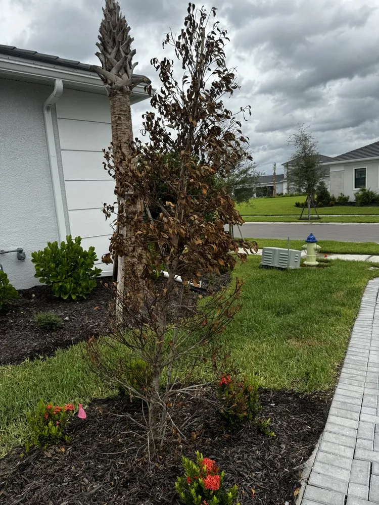 Local landscaping services near you across Jupiter, FL - Impact Landscaping & Irrigation