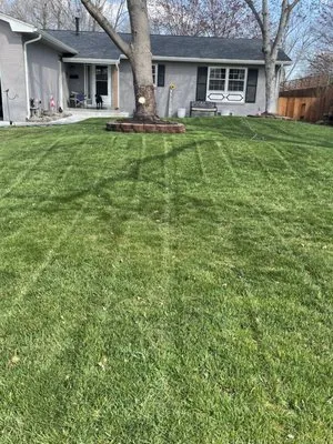 Impact Lawn Care Logo