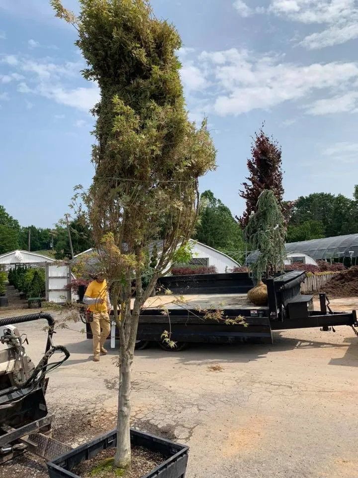 Local landscape design for outdoor upgrades in Northumberland, PA by Impact Management Landscaping