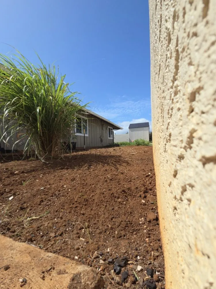 Professional yard cleanup service in Honolulu, HI - Impact Trees and Landscaping