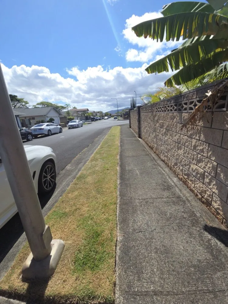 Professional lawn care service for homes across Honolulu, HI - Impact Trees and Landscaping