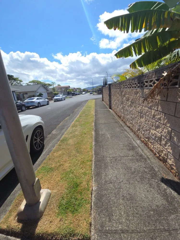 Top-rated landscape installation for residential properties in Honolulu, HI by Impact Trees and Landscaping