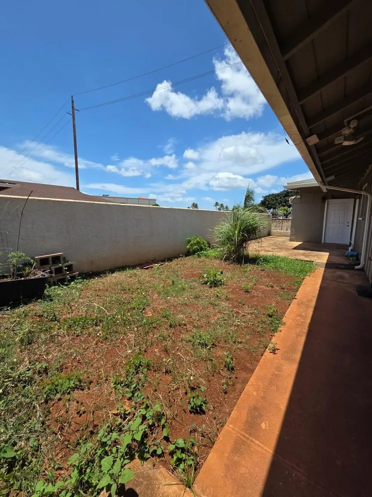 Affordable lawn care service in Honolulu, HI - Impact Trees and Landscaping