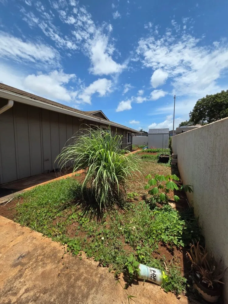 Affordable residential landscaping experts serving Honolulu, HI - Impact Trees and Landscaping