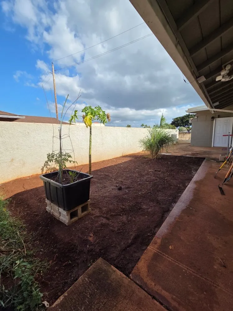 Top-rated landscaping services for residential properties across Honolulu, HI - Impact Trees and Landscaping