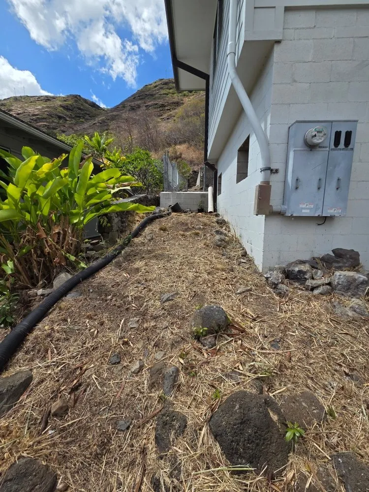 Expert residential landscaping experts serving Honolulu, HI - Impact Trees and Landscaping