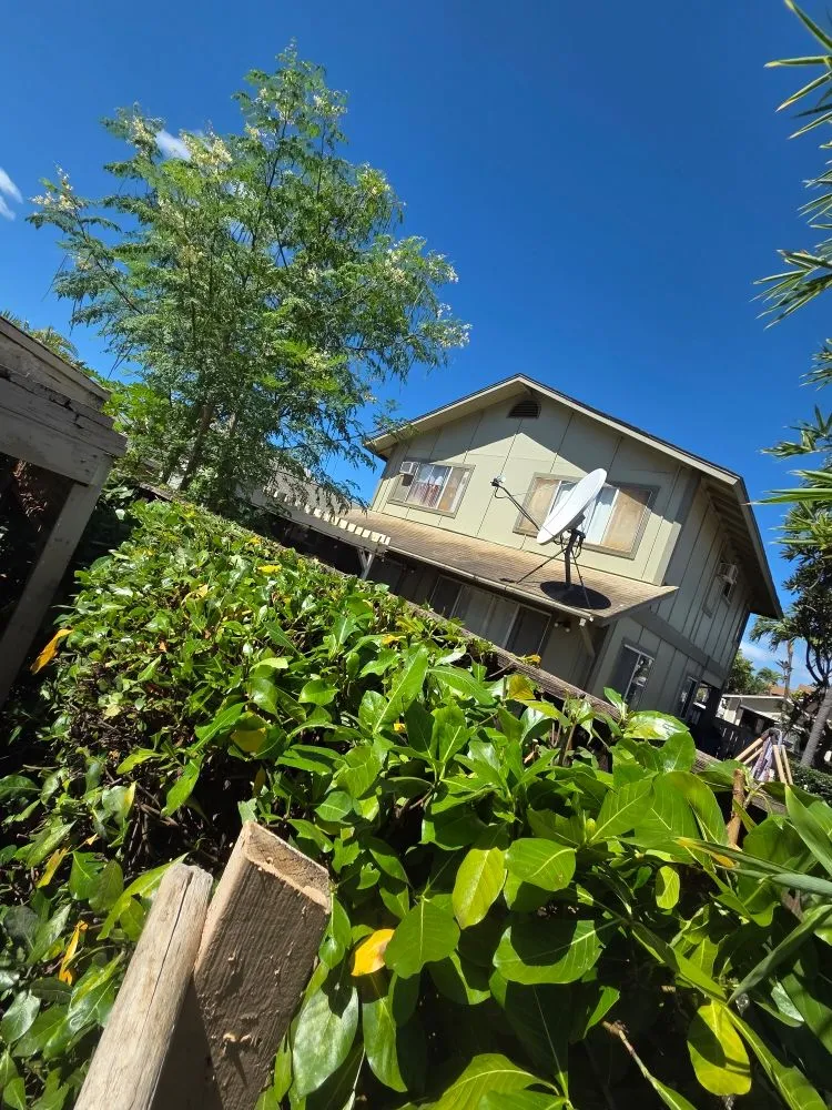 Reliable landscaping services for outdoor upgrades in Honolulu, HI by Impact Trees and Landscaping
