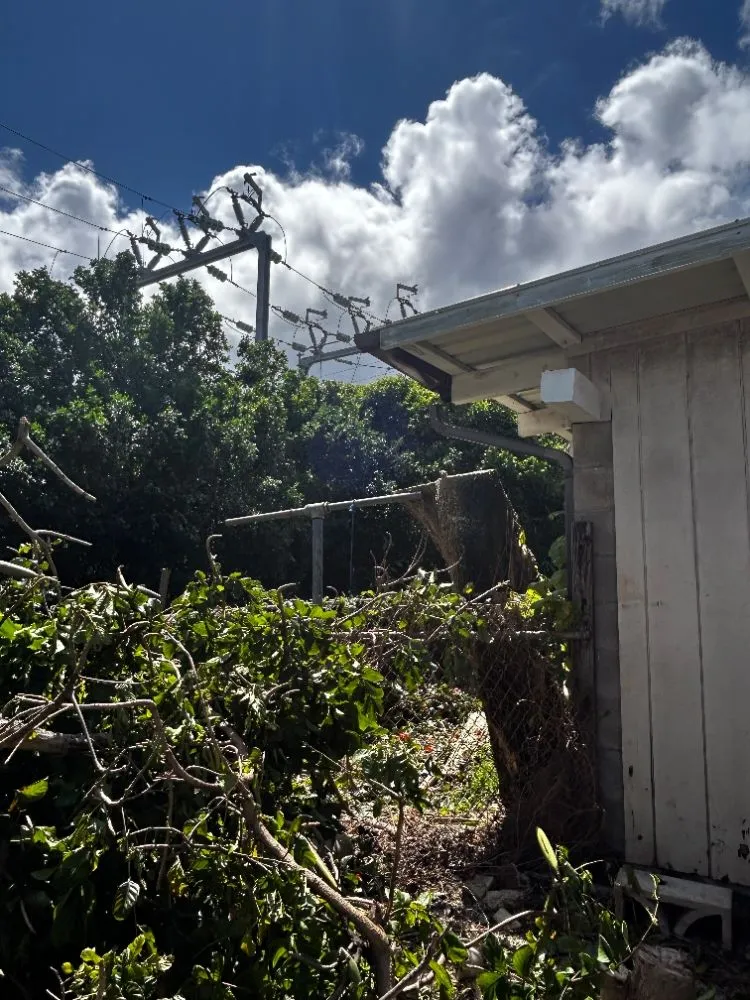 Local landscape design experts serving Honolulu, HI - Impact Trees and Landscaping