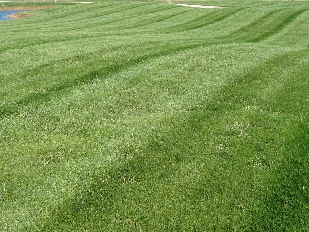 Top-rated landscape installation near you in Avon, OH by Impeccable Cuts Lawn Care