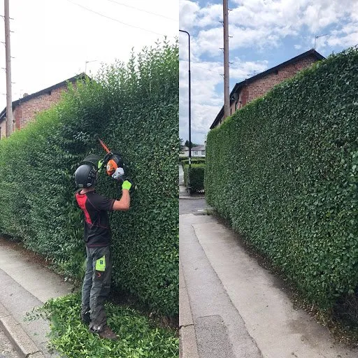 Top-rated landscape design experts serving Avon, OH - Impeccable Cuts Lawn Care