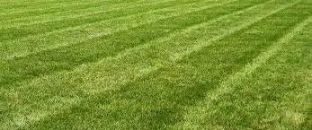Trusted outdoor landscaping in Avon, OH by Impeccable Cuts Lawn Care
