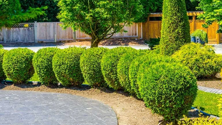 Trusted yard cleanup service in Avon, OH by Impeccable Cuts Lawn Care