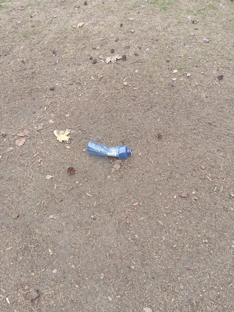 Expert landscaping services near you in Spokane Valley, WA by Impeccable Landscapes