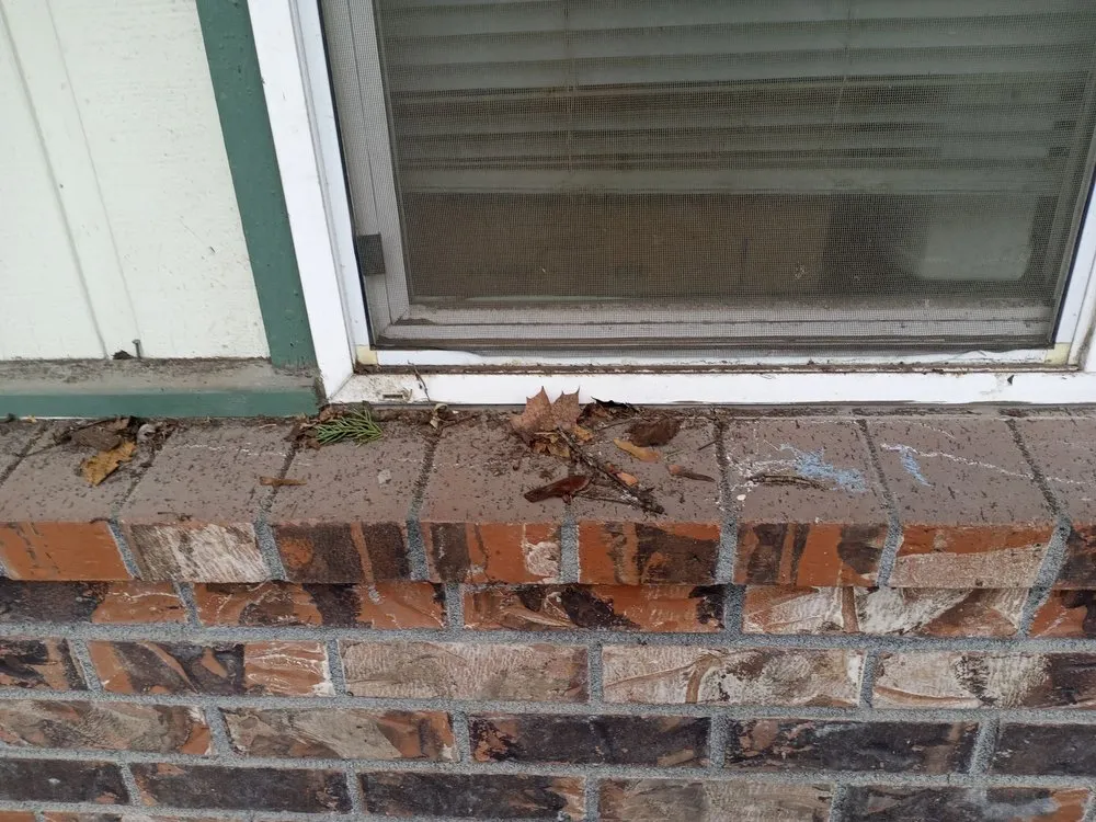 Expert lawn care service in Spokane Valley, WA - Impeccable Landscapes