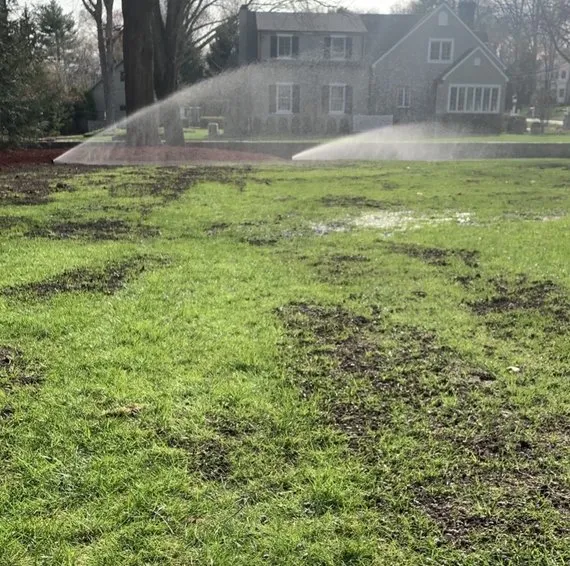 Trusted lawn mowing service experts serving Ramsey, NJ - Impeccable Landscaping