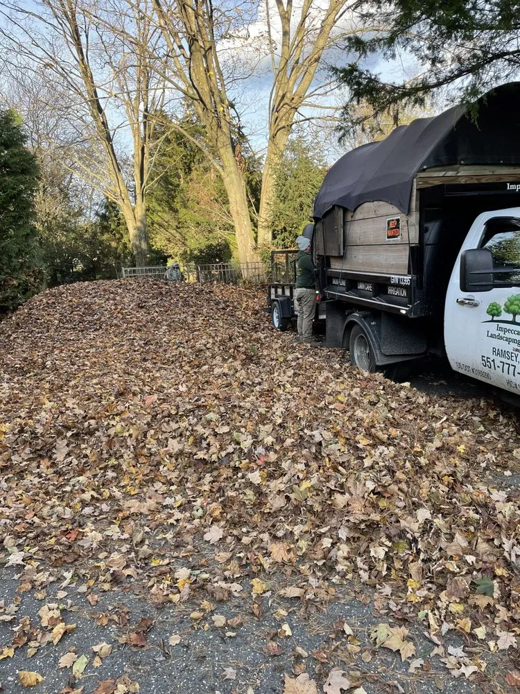 Affordable lawn care service with custom design in Ramsey, NJ by Impeccable Landscaping