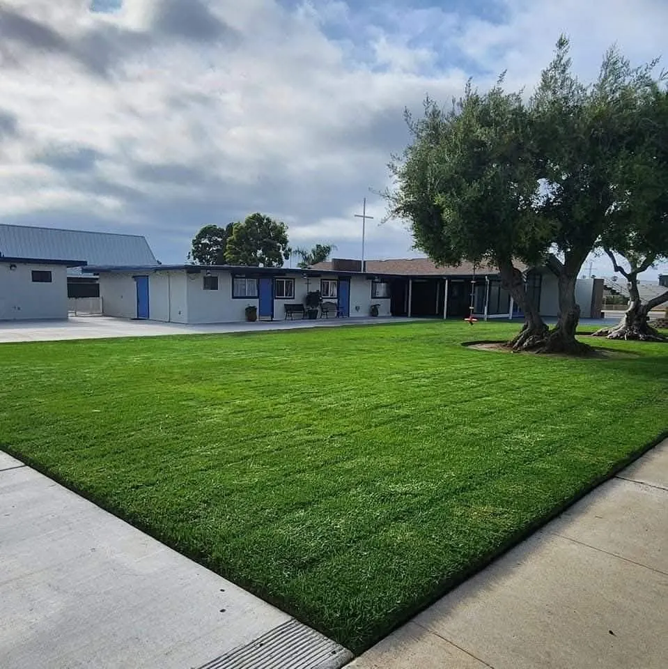 Reliable residential landscaping in Imperial Beach, CA by Imperial Beach Gardener & Junk Removal Services