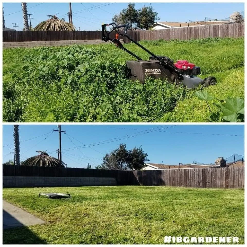 Top-rated landscaping services for beautiful yards in Imperial Beach, CA by Imperial Beach Gardener & Junk Removal Services