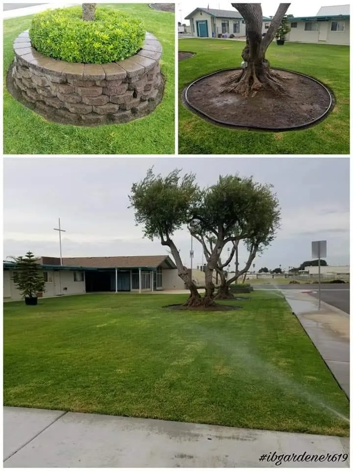 Professional yard maintenance in Imperial Beach, CA by Imperial Beach Gardener & Junk Removal Services