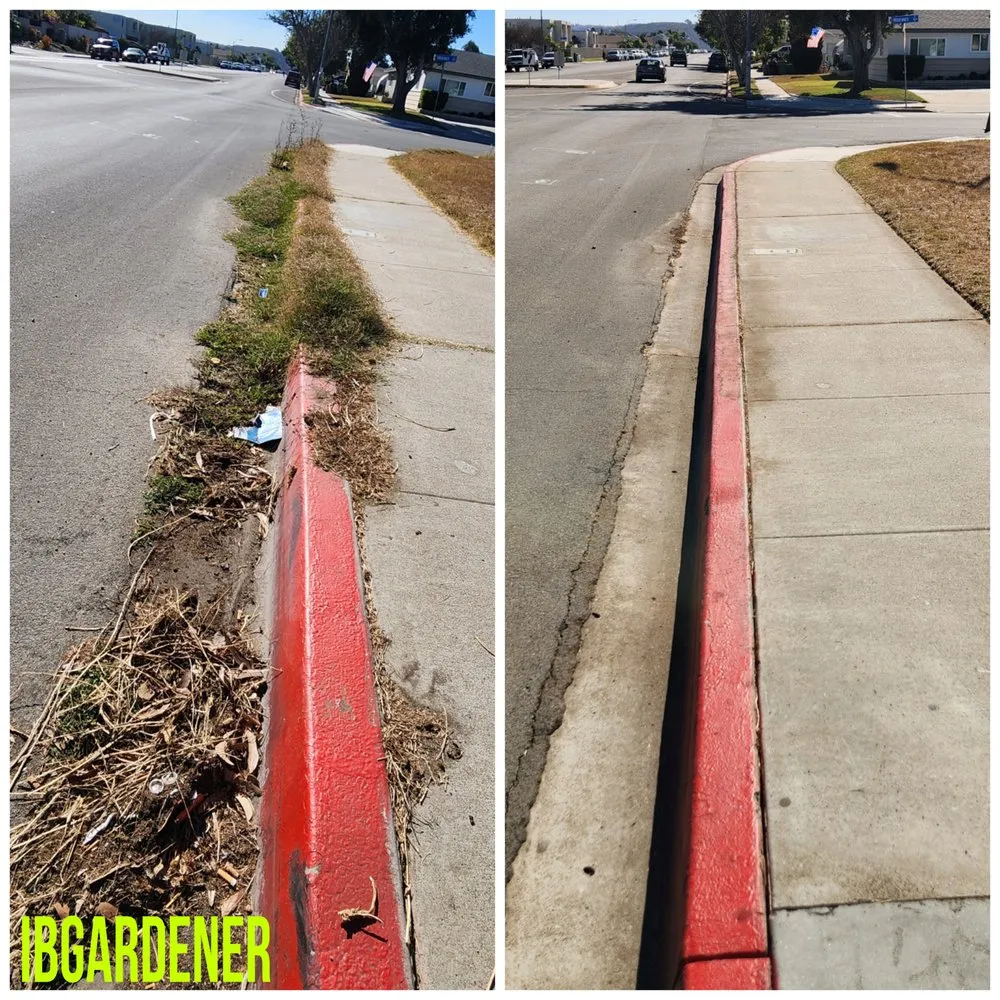 Affordable residential landscaping in Imperial Beach, CA by Imperial Beach Gardener & Junk Removal Services