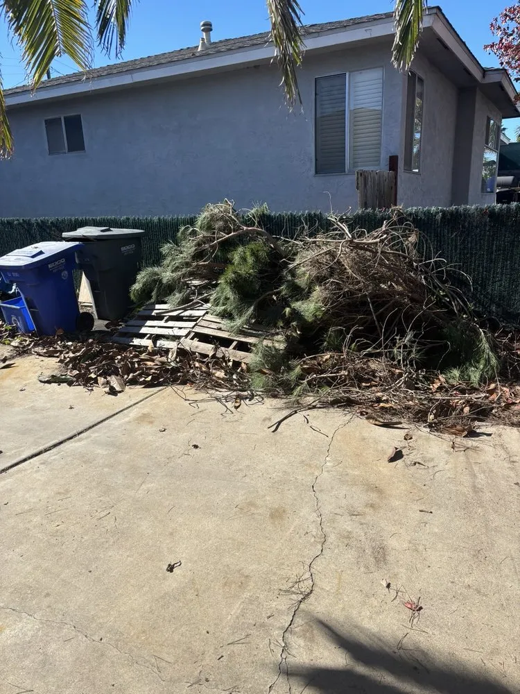 Professional outdoor landscaping with custom design across Imperial Beach, CA - Imperial Beach Gardener & Junk Removal Services
