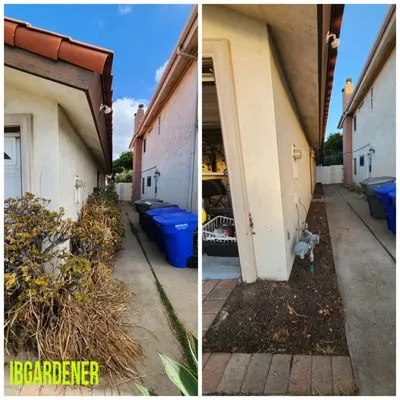 Imperial Beach Gardener & Junk Removal Services