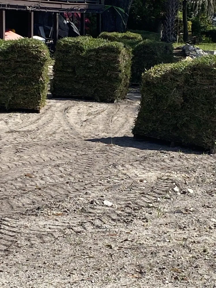 Top-rated landscaping services in Tampa, FL - Imperial Elements