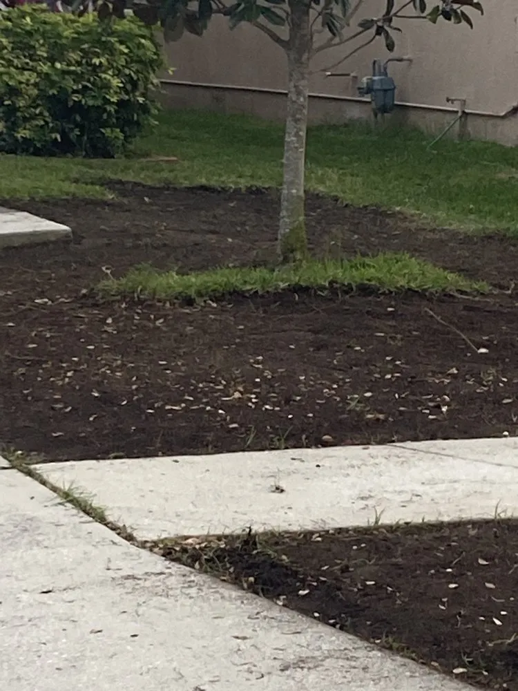 Top-rated garden landscaping in Tampa, FL by Imperial Elements