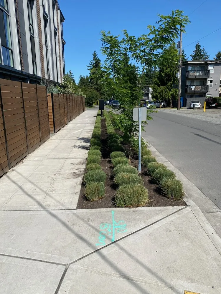 Reliable lawn care service in Bellevue, WA by Imperial Garden