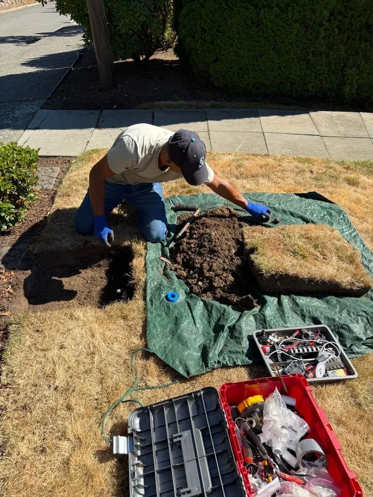 Reliable landscaping services experts serving Bellevue, WA - Imperial Garden