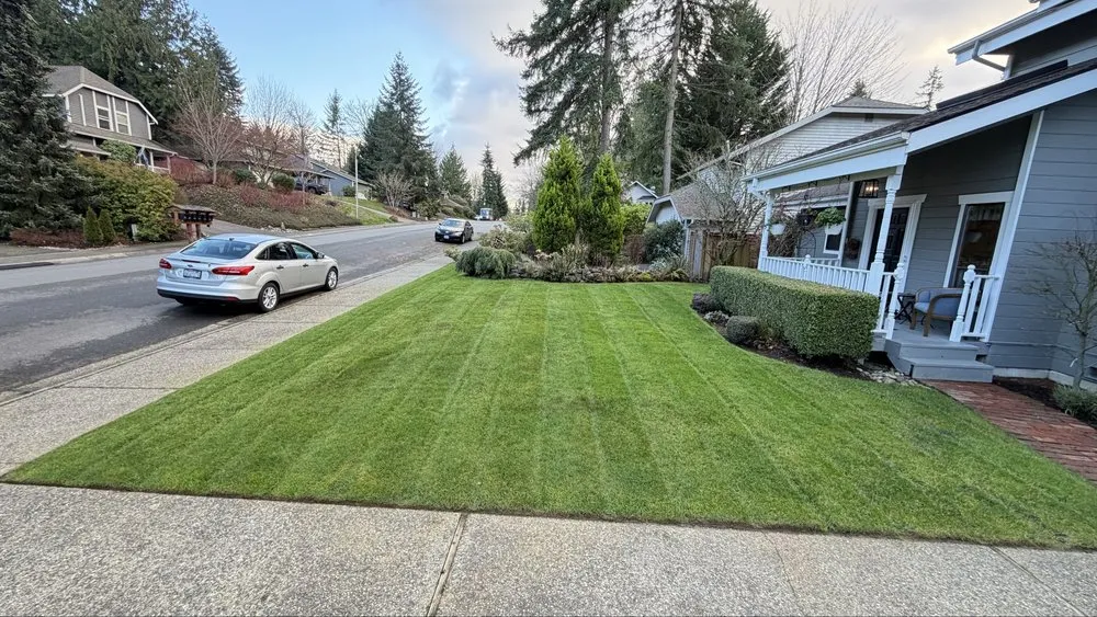 Custom lawn care service in Bellevue, WA - Imperial Garden