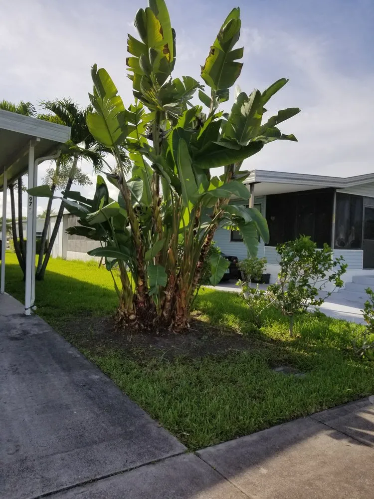 Trusted lawn mowing service near you across Miami Gardens, FL - Imperial Gardens landscaping