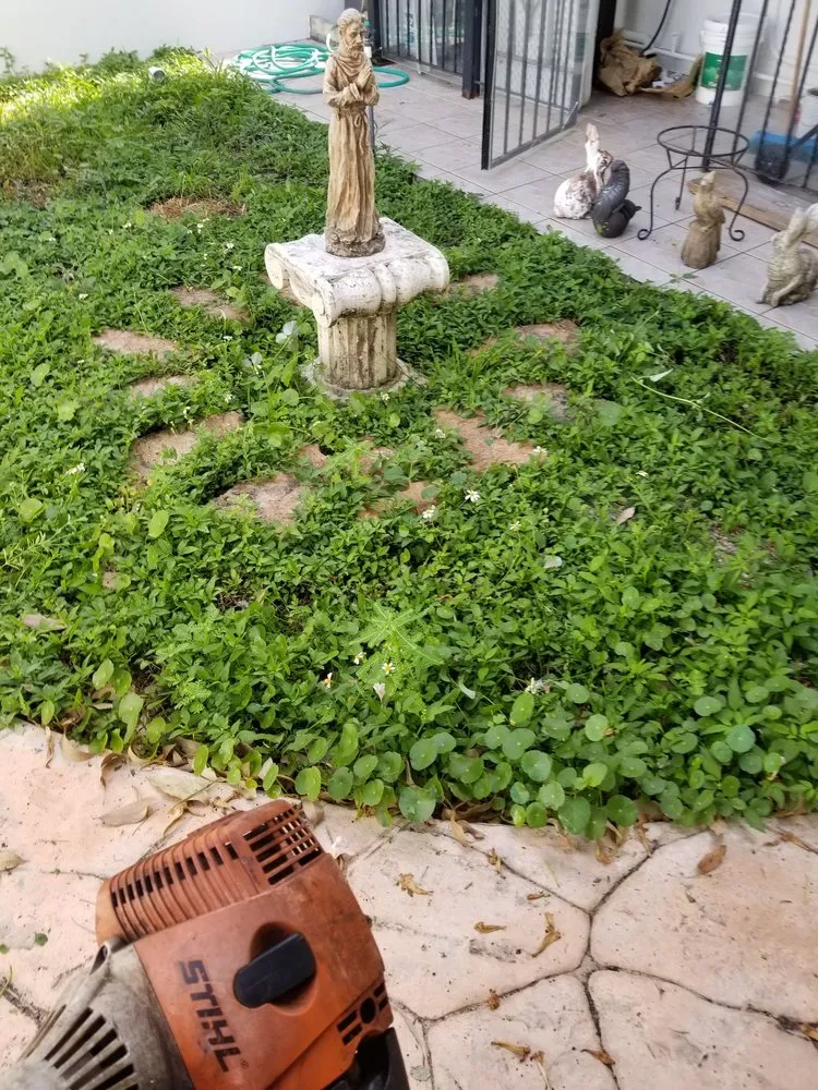 Reliable yard cleanup service in Miami Gardens, FL - Imperial Gardens landscaping