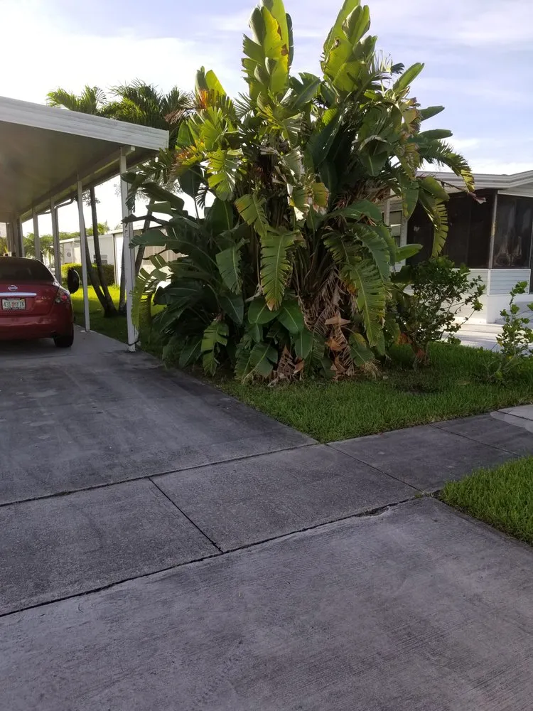 Affordable lawn care service in Miami Gardens, FL - Imperial Gardens landscaping