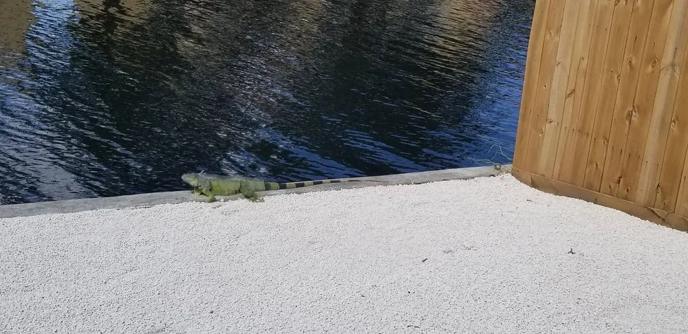 Reliable yard maintenance for year-round maintenance across Miami Gardens, FL - Imperial Gardens landscaping