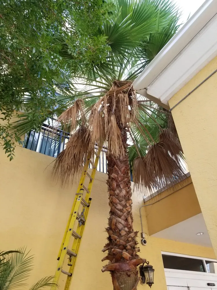 Reliable landscape installation in Miami Gardens, FL by Imperial Gardens landscaping