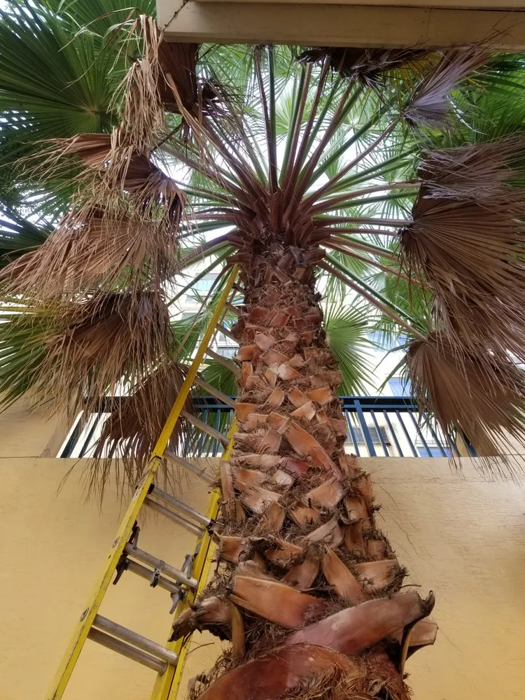 Trusted landscape design for homes in Miami Gardens, FL by Imperial Gardens landscaping