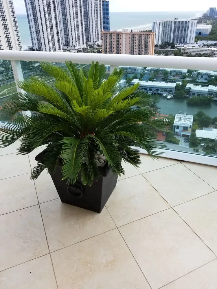 Affordable yard maintenance in Miami Gardens, FL - Imperial Gardens landscaping