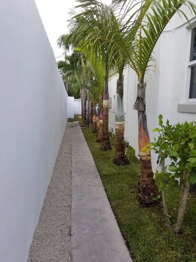 Top-rated landscape installation in Miami Gardens, FL by Imperial Gardens landscaping